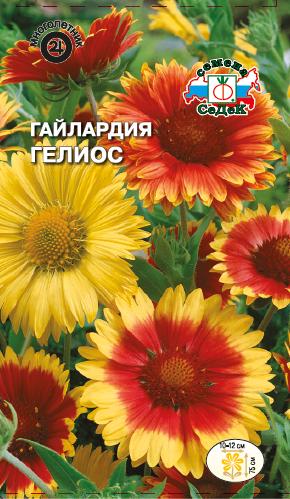 гелиос цветок фото онлайн гелиос цветок фото