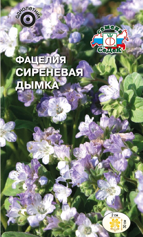 Фацелия цветов и семян Фацелия цветов и семян